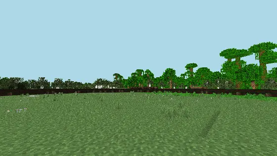 Birch Forest in game